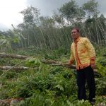 Terinspirasi ARB, Lahan Ulayat Masyarakat 5 Keturunan Bandardewa Akan Ditanami Padi Gogo