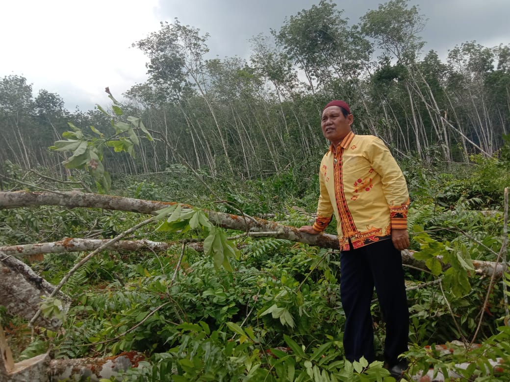 Terinspirasi ARB, Lahan Ulayat Masyarakat 5 Keturunan Bandardewa Akan Ditanami Padi Gogo