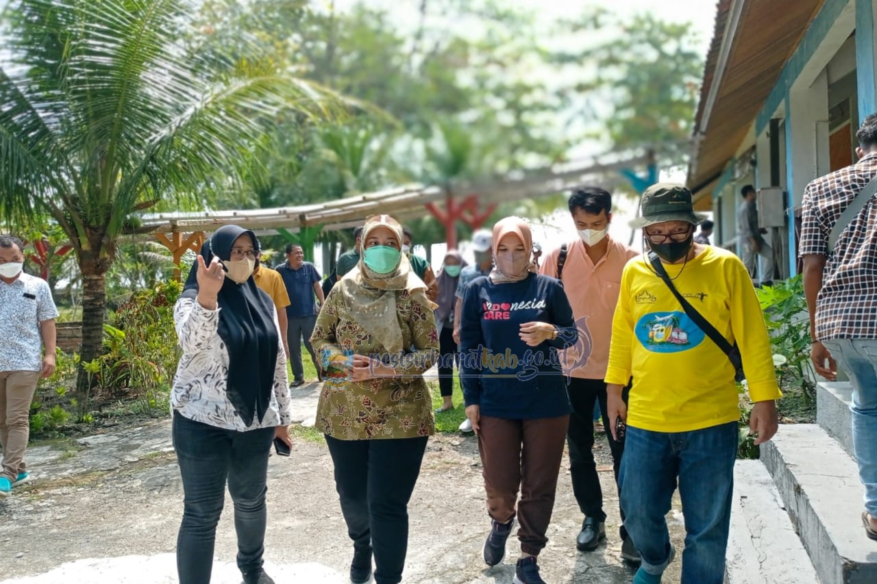 Wakil Gubernur Lampung Tinjau Lokasi Pelaksanaan Krui Pro Qs 5000