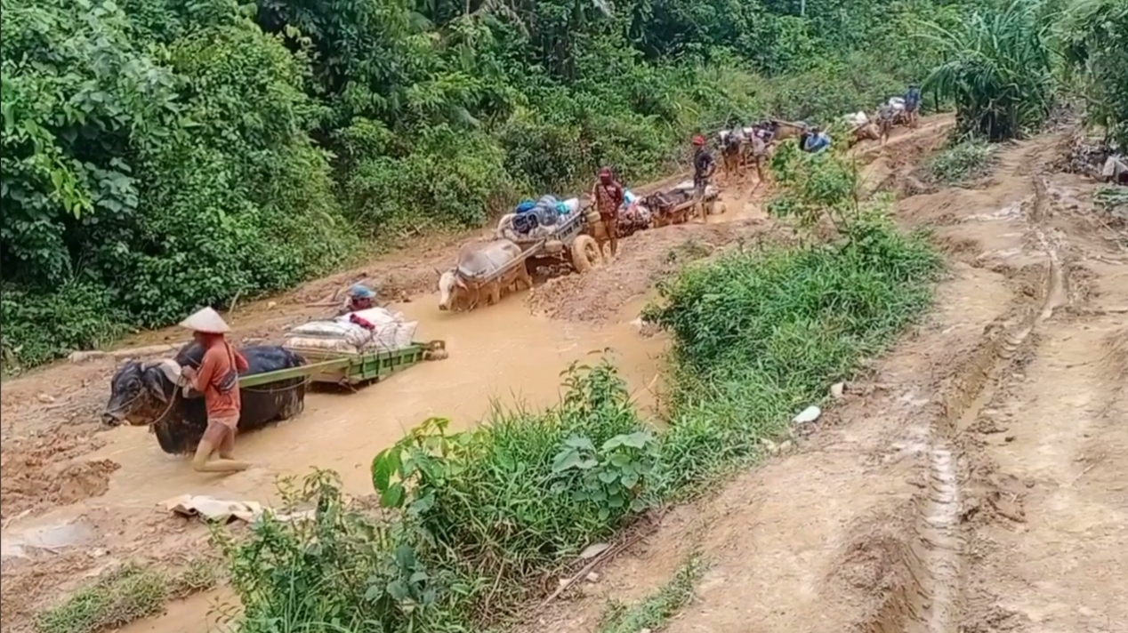 Ribuan Masyarakat Way Haru Hidup Terisolir, Hingga Kini Manisnya Kemerdekaan Tak Kunjung di Rasakan