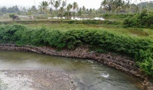 Proyek Bronjong Milik Dinas PUPR Lambar di Way Warkuk Tahun 2021 Juga Dikeluhkan Warga.