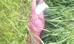 Warga  Adi Rejo Temukan Mayat di Penggir Jalan