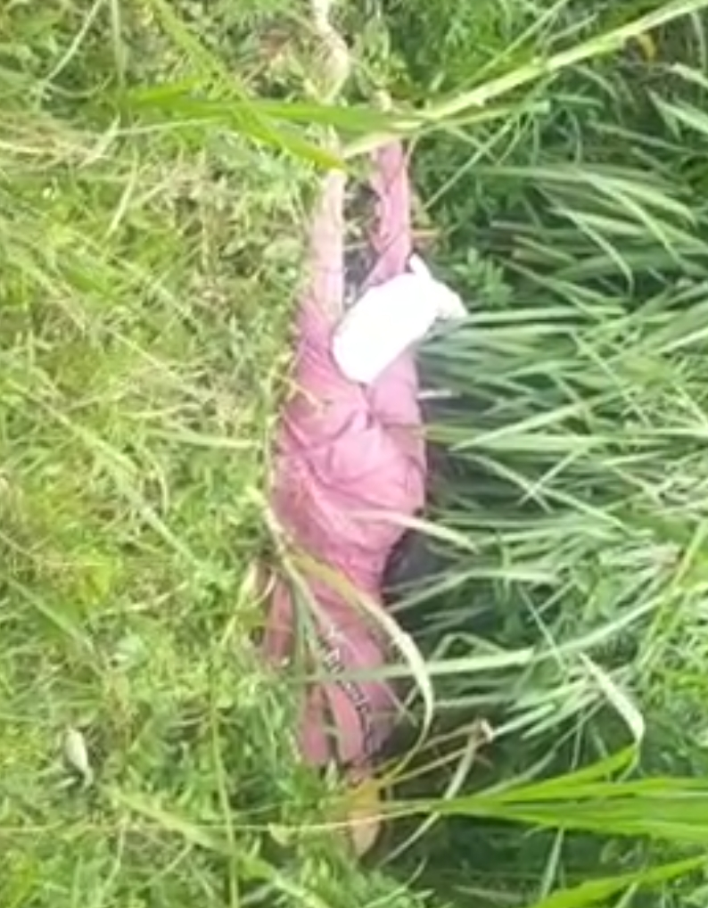 Warga  Adi Rejo Temukan Mayat di Penggir Jalan