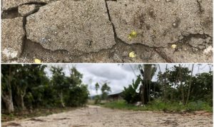 Baru Dibangun, Jalan Dana Desa di Pekon Padang Cahya sudah Rusak Baru Dibangun, Jalan Dana Desa di Pekon Padang Cahya sudah Rusak