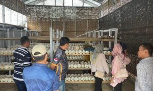 Yuk, Intip Apa Saja Pembinaan Kemandirian Warga Binaan Pemasyarakatan Lapas Gunung Sugih Yuk, Intip Apa Saja Pembinaan Kemandirian Warga Binaan Pemasyarakatan Lapas Gunung Sugih