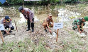 Peringati Hari mangrove Sedunia, Bupati Pesisir Barat Hadiri Kegiatan Penanaman Mangrove Kodim 0422/LB Peringati Hari mangrove Sedunia, Bupati Pesisir Barat Hadiri Kegiatan Penanaman Mangrove Kodim 0422/LB