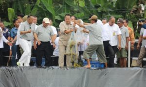 Gubernur Arinal Panen Perdana Udang Vaname Air Tawar, di PKK Agropark Lampung, Siap Jadi Role Model Budidaya Udang Air Tawar di Indonesia