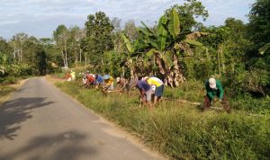 Sambut HUT RI Ke 78, Warga Pekon Nusawungu Gotong Royong Bersihkan Lingkungan