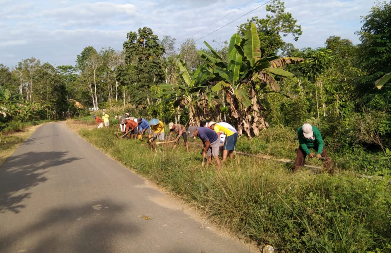 Sambut HUT RI Ke 78, Warga Pekon Nusawungu Gotong Royong Bersihkan Lingkungan
