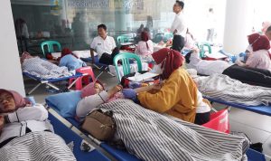 HUT KORPRI KE-52, PEMKAB PESIBAR GELAR DONOR DARAH SUKARELA HUT KORPRI KE-52, PEMKAB PESIBAR GELAR DONOR DARAH SUKARELA