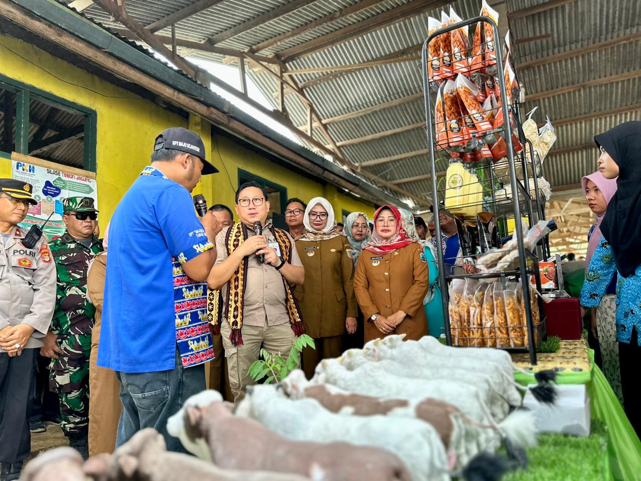 Gubernur Lampung Gelar Kontes Ternak Sapi PO, Dukung Potensi Wilayah Sumber Bibit di Lamsel