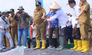 Pj Bupati Tuba Drs Qudrotul Ikhwan MM Menghadiri Acara Ramah Tamah dan Penyerahan Bantuan Excavator Pj Bupati Tuba Drs Qudrotul Ikhwan MM Menghadiri Acara Ramah Tamah dan Penyerahan Bantuan Excavator