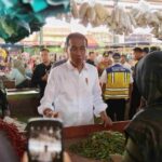 Gubernur Arinal Dampingi Presiden Jokowi Cek Harga Komoditas Pangan di Pasar Baru Rumbia Gubernur Arinal Dampingi Presiden Jokowi Cek Harga Komoditas Pangan di Pasar Baru Rumbia