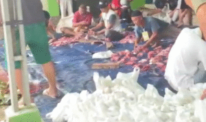 Masjid Almujahirin Bagikan 420 Paket Daging Kurban Masjid Almujahirin Bagikan 420 Paket Daging Kurban