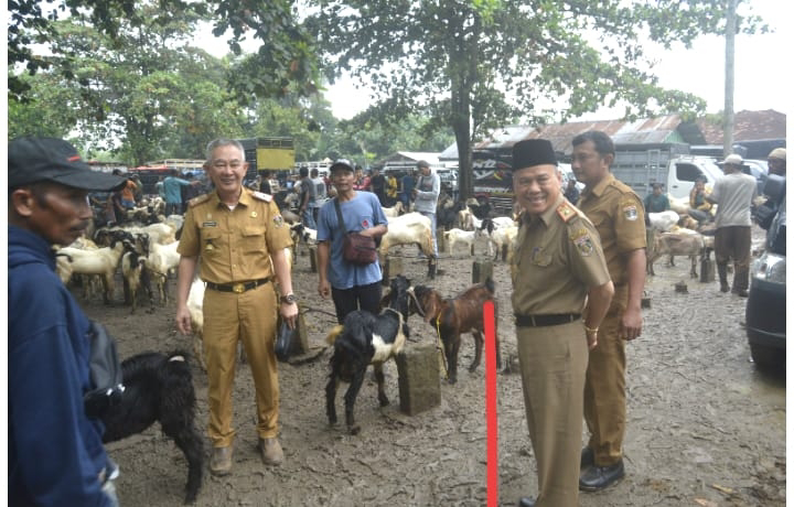 Sekda Lamteng Drs Kusuma Riyadi MM,lakukan Peninjauan Langsung Pasar Kambing Adi Jaya
