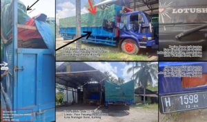 Oknum TNI-AU dan Jenderal Polisi Diduga Back-up Illegal Logging Kayu Ulin di Kalteng