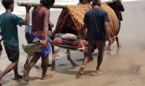 Tragis, Puluhan Warga Desa Way Haru Memandu Warga Sakit Melalui Medan Ektrem Tragis, Puluhan Warga Desa Way Haru Memandu Warga Sakit Melalui Medan Ektrem