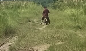 Akses Jalan Menuju Desa Serayan 10 B, Menjadi Semak Belukar