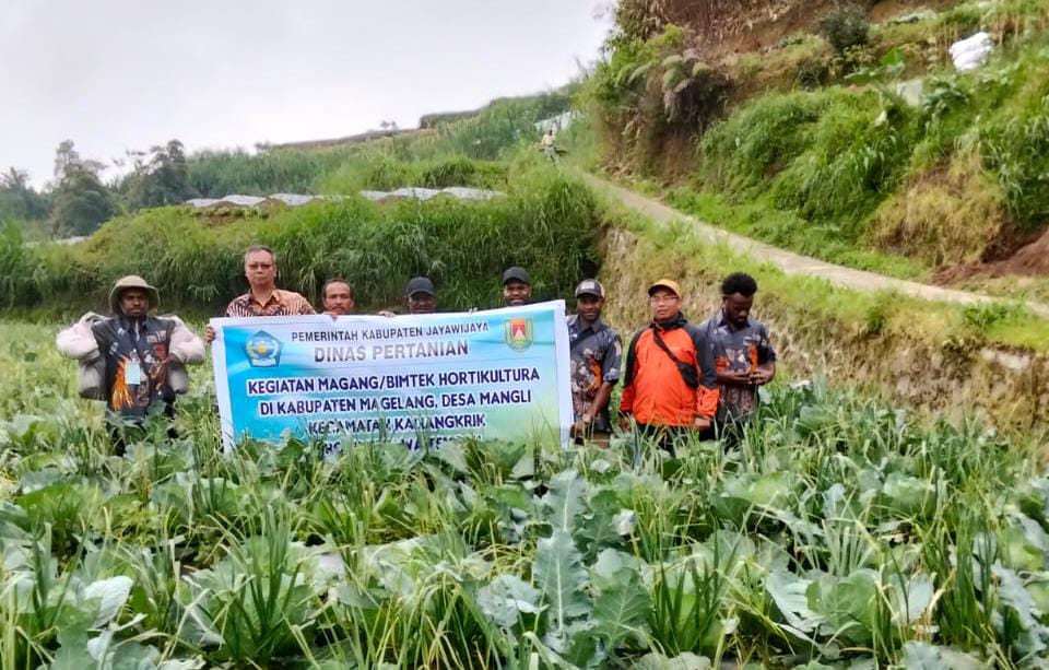 Perkuat Petani Milenial  Kabupaten Jayawijaya Mendorong Magang Bintek Kabupaten Magelang Provinsi Jawa Tengah