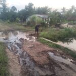 SALAH SATU PEKARANGAN RUMAH KEBANJIRAN DAN RUAS JALAN SERTA JEMBATAN DESA SUNGAI BUAYA KECAMATAN RAWA JITU UTARA RUSAK BERAT SALAH SATU PEKARANGAN RUMAH KEBANJIRAN DAN RUAS JALAN SERTA JEMBATAN DESA SUNGAI BUAYA KECAMATAN RAWA JITU UTARA RUSAK BERAT