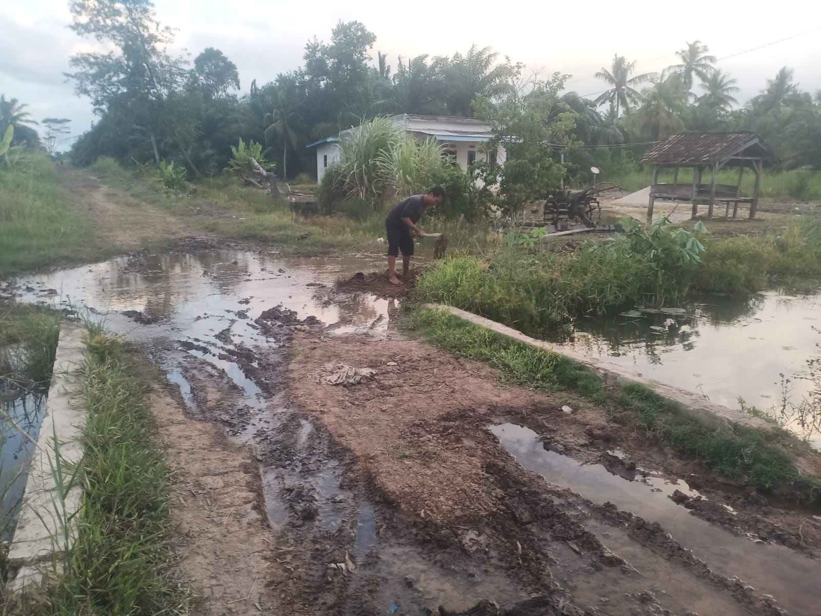 SALAH SATU PEKARANGAN RUMAH KEBANJIRAN DAN RUAS JALAN SERTA JEMBATAN DESA SUNGAI BUAYA KECAMATAN RAWA JITU UTARA RUSAK BERAT
