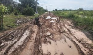 MASYARAKAT DESA PANGGUNG REJO BERHARAP KEPADA PEMERINTAH SECEPATNYA PERBAIKI JALAN DESA YANG RUSAK BERAT