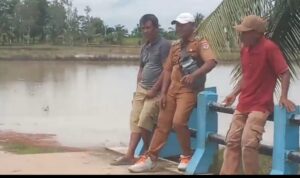 HISTORY PEMBANGUNAN DESA SIDANG MAKMUR KECAMATAN RAWA JITU UTARA