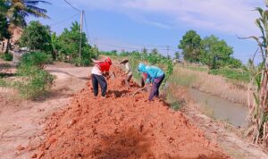 DESA SUNGAI BUAYA KECAMATAN RAWA JITU UTARA ADAKAN PENIMBUNAN JALAN TANAH MERAH